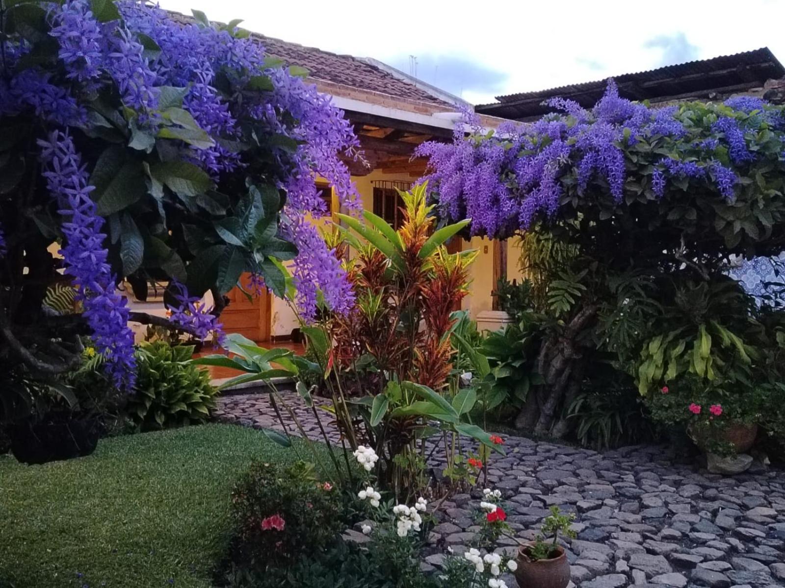 Hostal San Nicolas Antigua ภายนอก รูปภาพ
