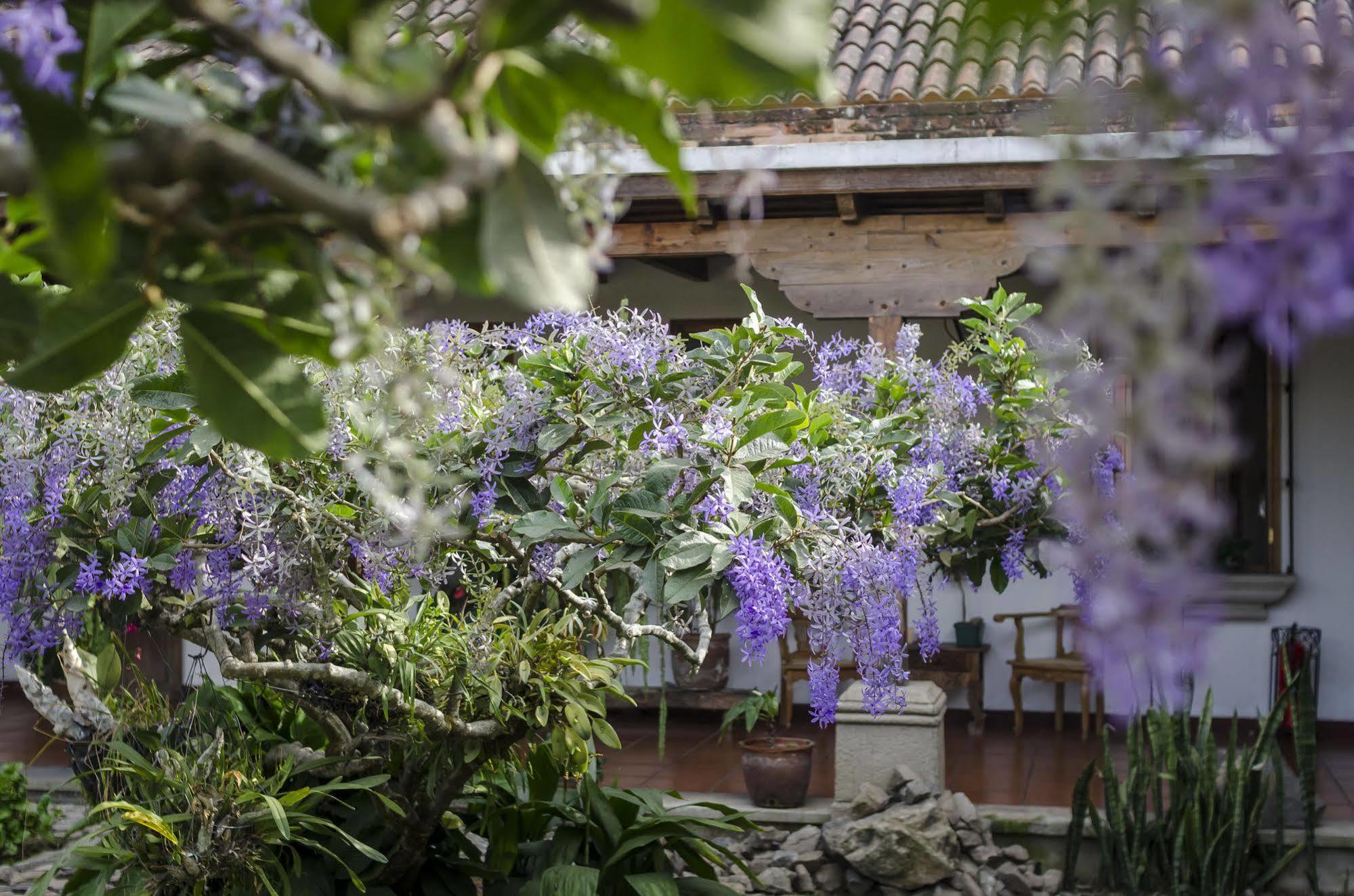Hostal San Nicolas Antigua ภายนอก รูปภาพ